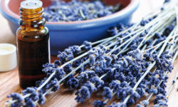 Aromatherapy and sweet dreams